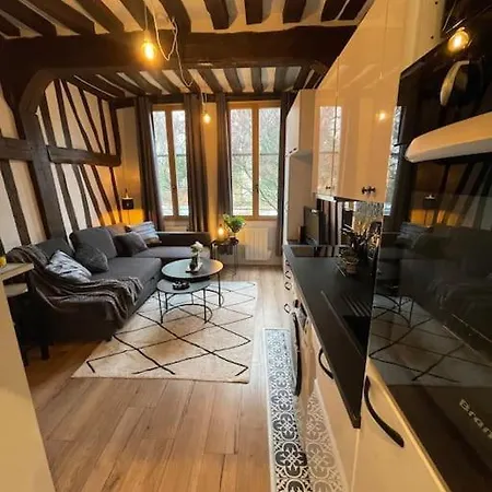 Apartment Hypercentre Charme Des Poutres Rouen